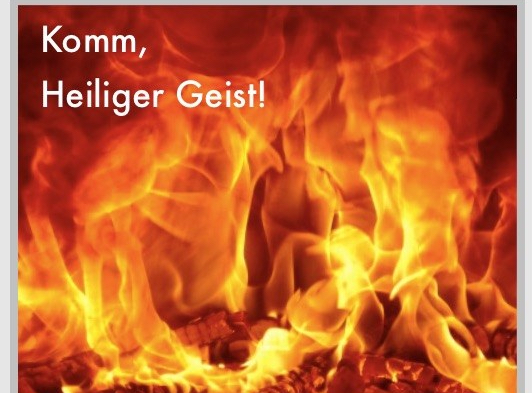 plakatfirmungpuebla2017-01-19